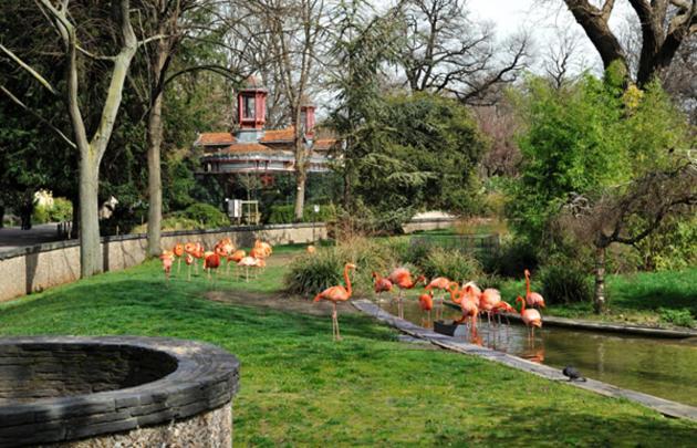 Spacious 90Sqm - Zen Latin District - Notre-Dame パリ エクステリア 写真